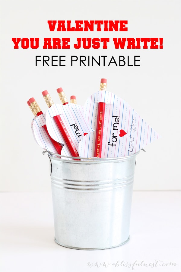Valentines Day Cards by A Blissful Nest
