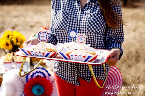 4th of July Party Ideas by A Blissful Nest