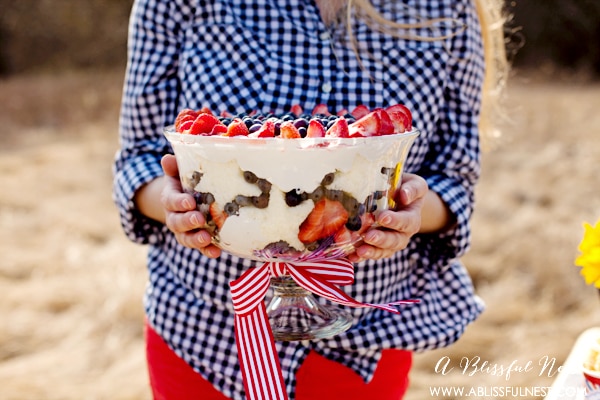 Patriotic Berry Trifle Recipe
