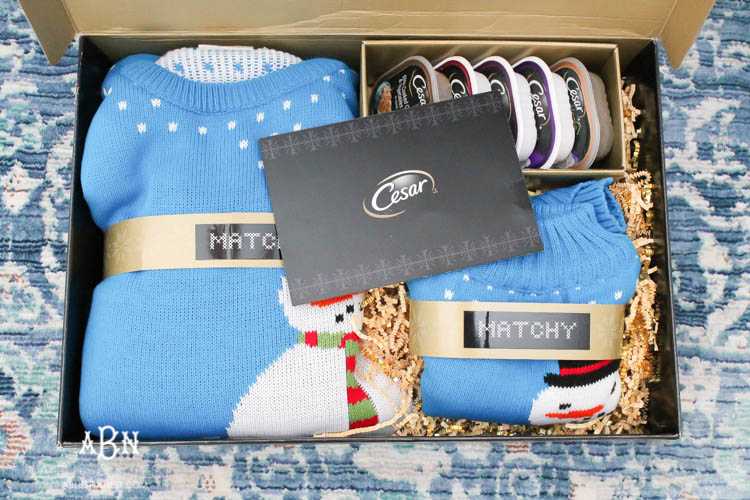 We adore Cesar dog food and are celebrating with these super cute matching sweaters! https://ablisfulnest.com/ 