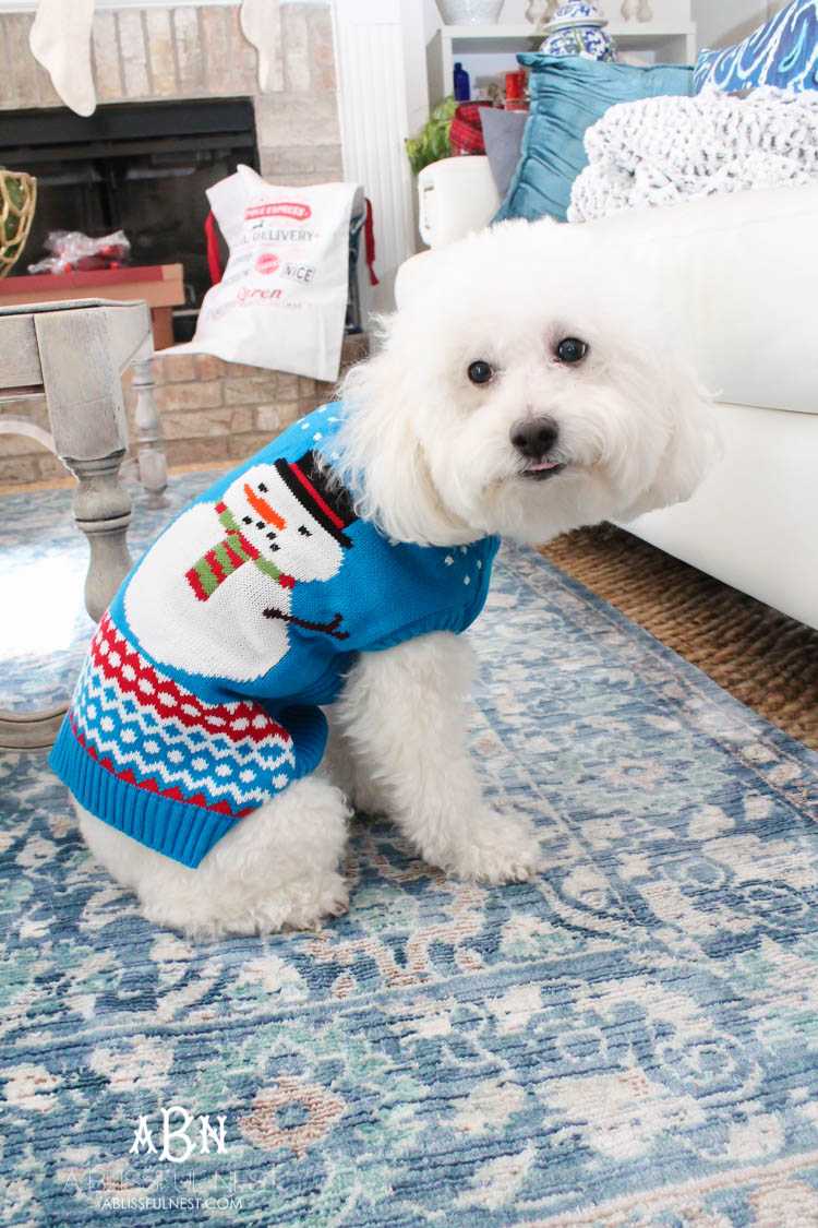 We adore Cesar dog food and are celebrating with these super cute matching sweaters! https://ablisfulnest.com/
