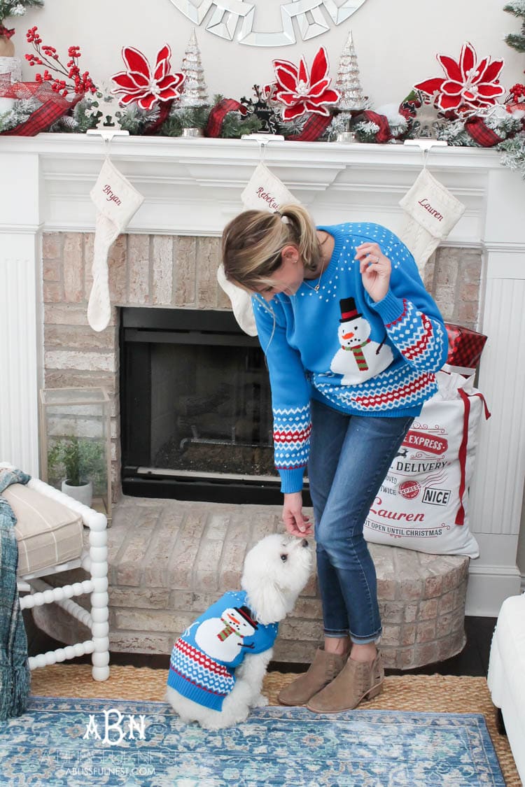 We adore Cesar dog food and are celebrating with these super cute matching sweaters! https://ablisfulnest.com/ 