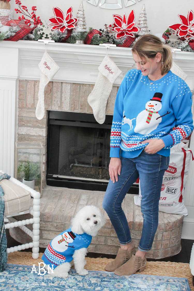 We adore Cesar dog food and are celebrating with these super cute matching sweaters! https://ablisfulnest.com/ 