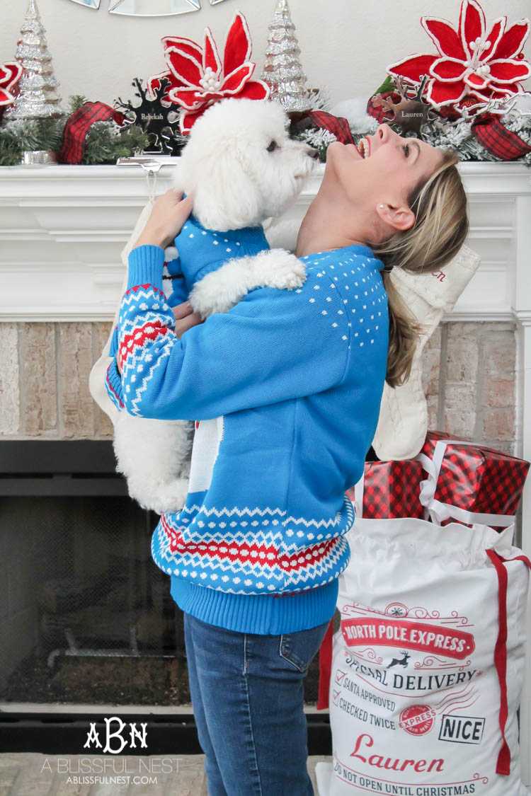 We adore Cesar dog food and are celebrating with these super cute matching sweaters! https://ablisfulnest.com/ 