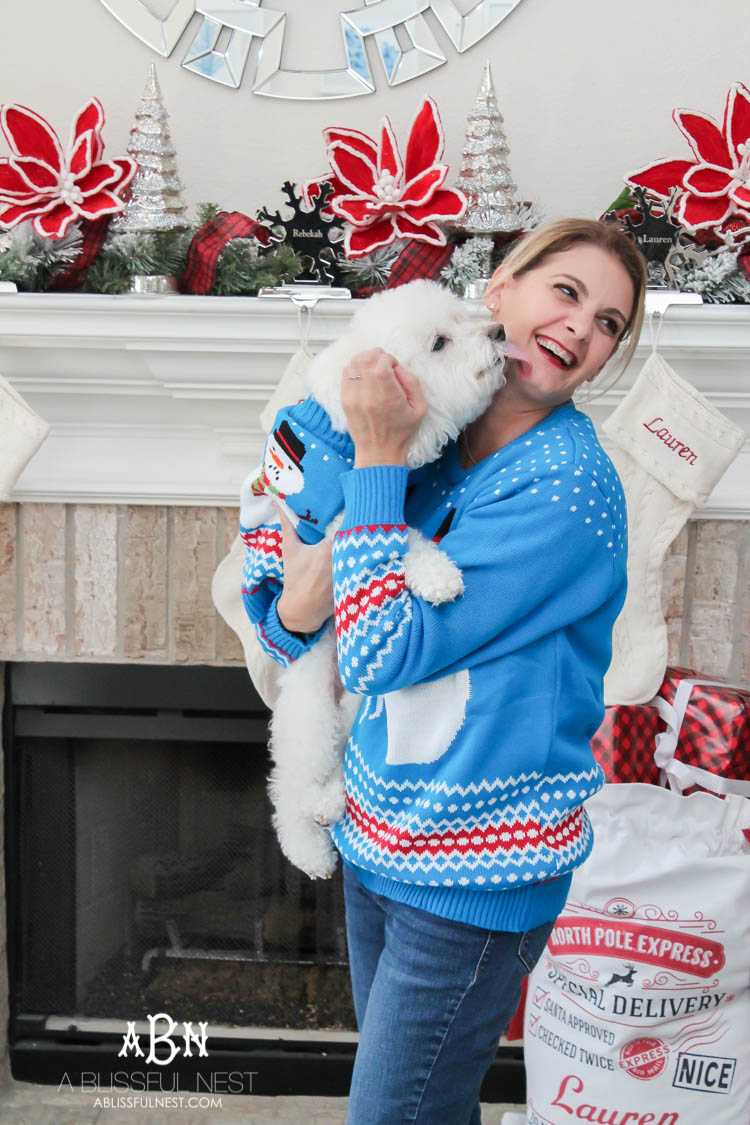 We adore Cesar dog food and are celebrating with these super cute matching sweaters! https://ablisfulnest.com/ 