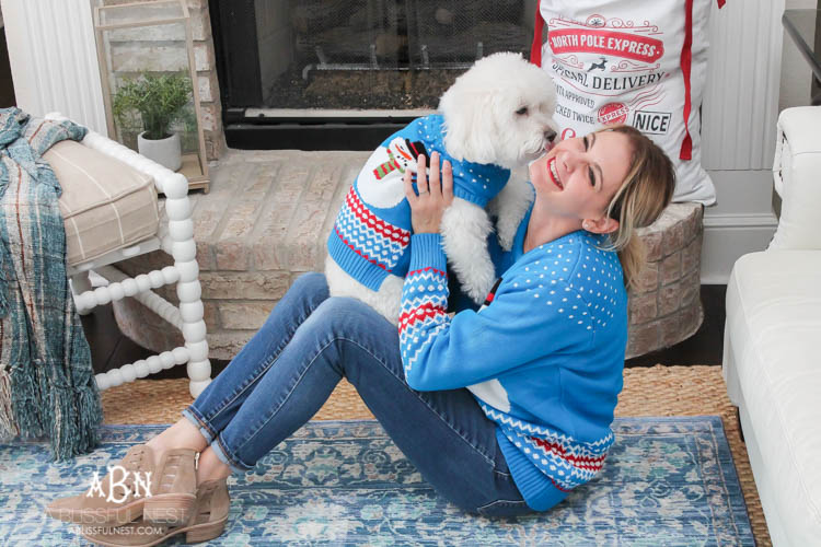 We adore Cesar dog food and are celebrating with these super cute matching sweaters! https://ablisfulnest.com/