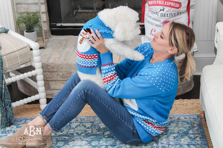 We adore Cesar dog food and are celebrating with these super cute matching sweaters! https://ablisfulnest.com/