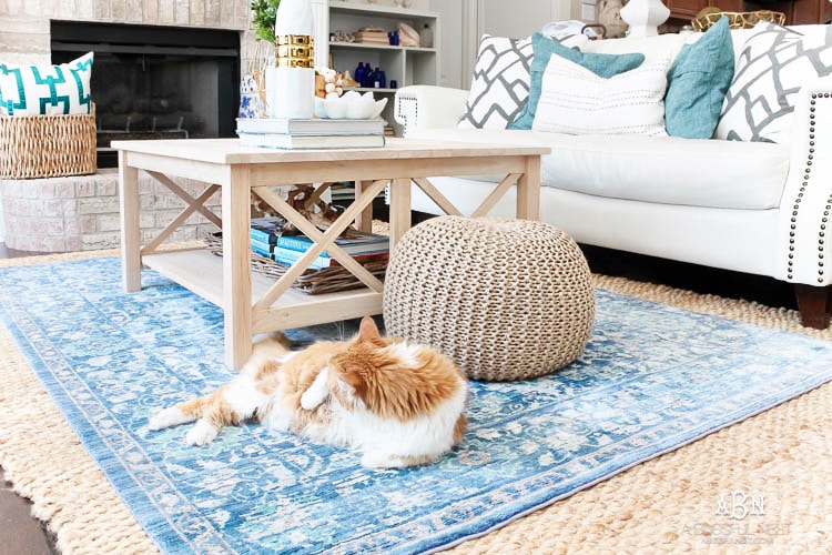 Grab these tips to live blissfully with pets with the amazing products from Skout's Honor. See more on https://ablisfulnest.com/ #ad #skoutshonor #skoutspawpledge