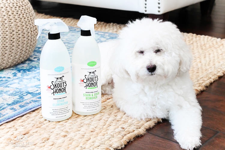 Grab these tips to live blissfully with pets with the amazing products from Skout's Honor. See more on https://ablisfulnest.com/ #ad #skoutshonor #skoutspawpledge