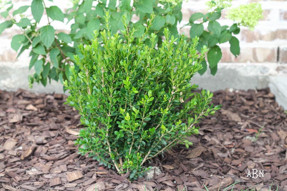 A small backyard makeover before and after with ideas on small backyard landscaping ideas. #ad #husqvarna #backyardideas #brickhouse #landscaping