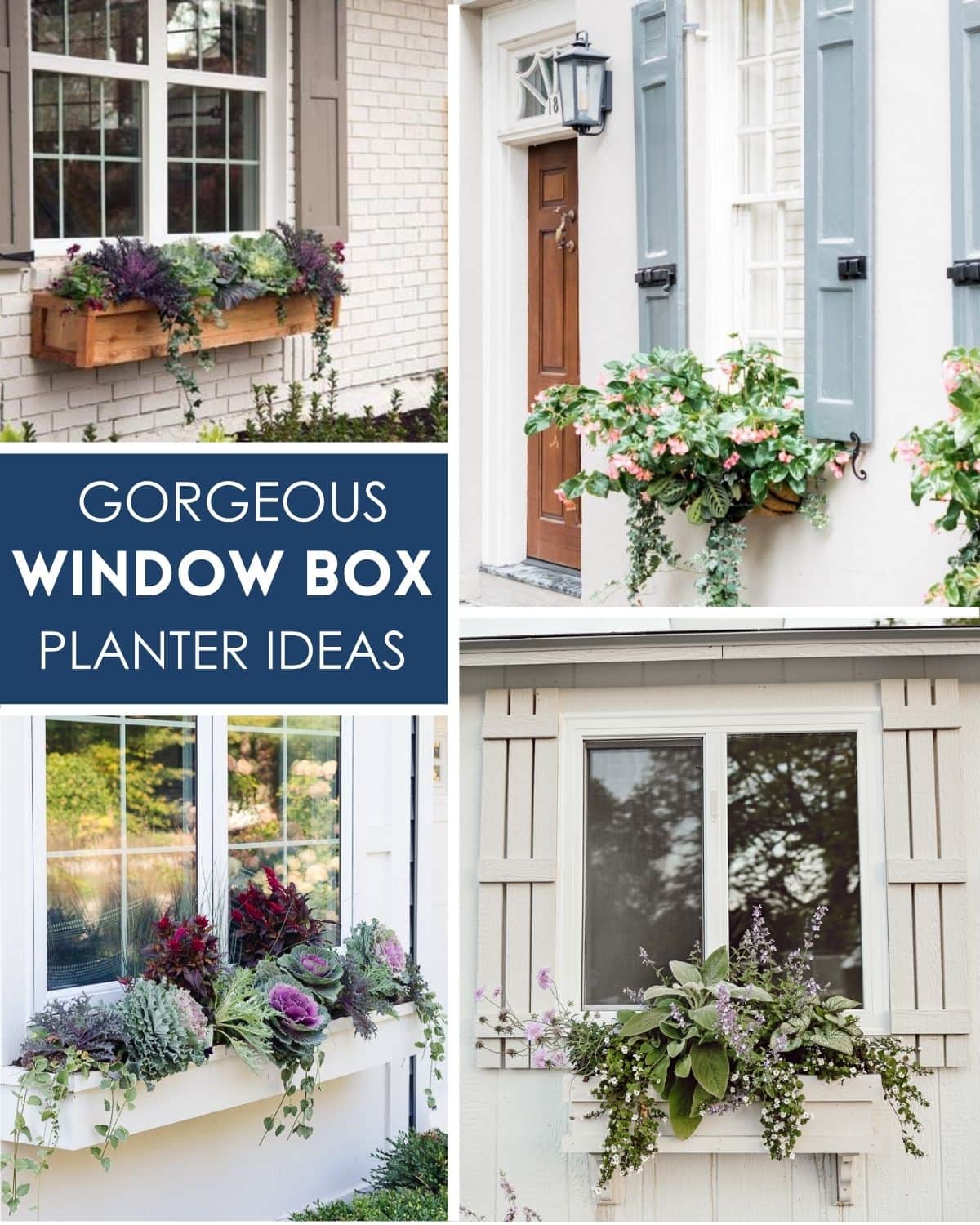 collage of different kinds of window box planters