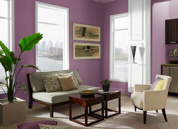 Euphoric Magenta by Behr in living room