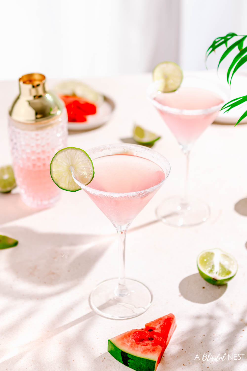 This watermelon lemonade martini is delicious for the summer or when having a small party. #ABlissfulNest #drinkrecipe #watermelon