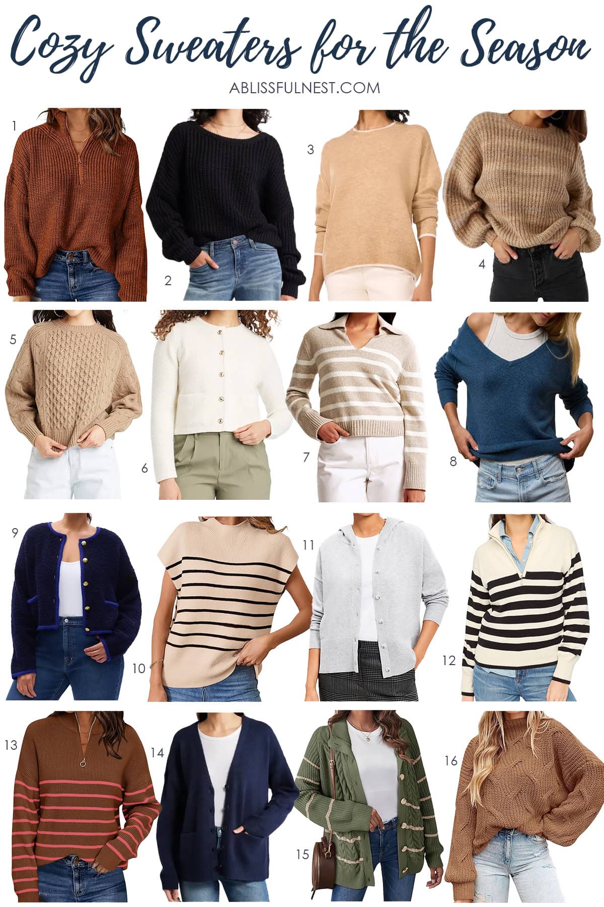 Cozy Sweaters for the Season