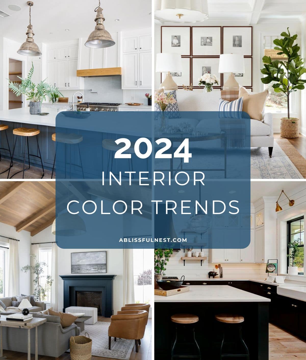 examples of color trends